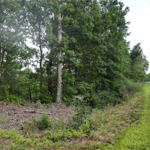 Photo #4 of 3950 Shiptontown, Lexington, NC 30.1 acres