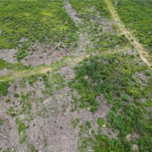 Photo #25 of 3950 Shiptontown, Lexington, NC 30.1 acres