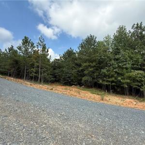 Photo #6 of Woodfield, Sophia, NC 10.2 acres