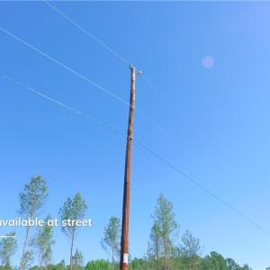Photo #2 of Carson, Cleveland, NC 10.2 acres