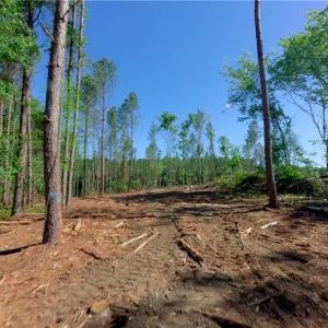 Photo #6 of Carson, Cleveland, NC 10.2 acres