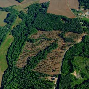 Photo #13 of Carson, Cleveland, NC 10.2 acres