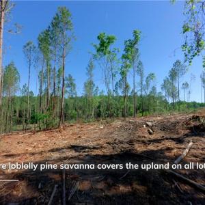 Photo #5 of Carson, Cleveland, NC 10.2 acres