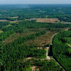 Photo #9 of Carson, Cleveland, NC 10.2 acres