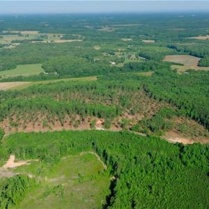 Photo #10 of Carson, Cleveland, NC 10.2 acres