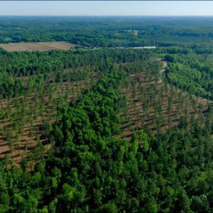 Photo #14 of Carson, Cleveland, NC 10.2 acres