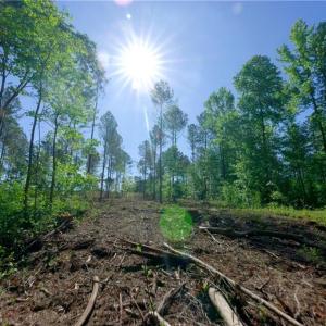Photo #11 of Carson, Cleveland, NC 10.2 acres