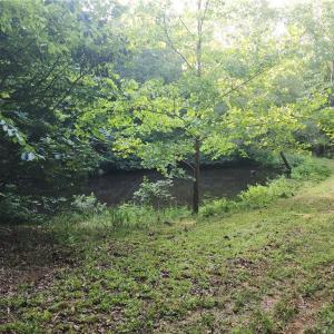 Photo #23 of River Bluff Farms, Tobaccoville, NC 15.6 acres