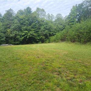Potential building site