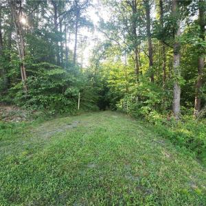 Photo #13 of River Bluff Farms, Tobaccoville, NC 15.6 acres