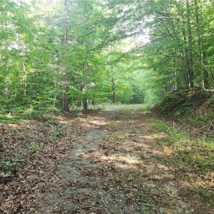 Photo #26 of River Bluff Farms, Tobaccoville, NC 15.6 acres