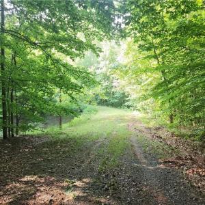 Photo #22 of River Bluff Farms, Tobaccoville, NC 15.6 acres