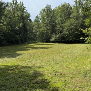 Meadow