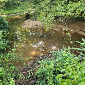 Photo #32 of River Bluff Farms, Tobaccoville, NC 15.6 acres