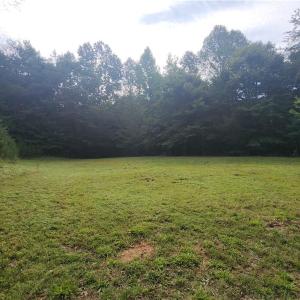 Potential building site
