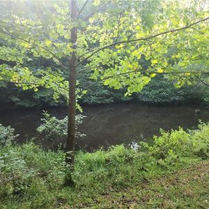 Photo #24 of River Bluff Farms, Tobaccoville, NC 15.6 acres
