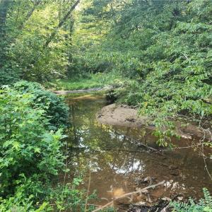 Photo #33 of River Bluff Farms, Tobaccoville, NC 15.6 acres
