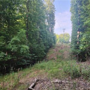 Photo #14 of River Bluff Farms, Tobaccoville, NC 15.6 acres
