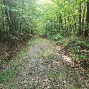 Photo #29 of River Bluff Farms, Tobaccoville, NC 15.6 acres