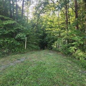 Gate at top of driveway