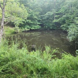 Photo #25 of River Bluff Farms, Tobaccoville, NC 15.6 acres