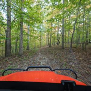 Miles of named trails weave throughout the property, including the historic Wagon Road dating back to the Revolutionary War era