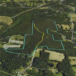 Photo #13 of Jennings, Randleman, NC 74.3 acres
