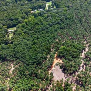 Photo #17 of Jennings, Randleman, NC 74.3 acres