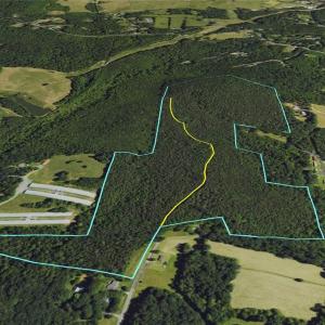 Photo #7 of Jennings, Randleman, NC 74.3 acres