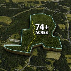 Photo #1 of Jennings, Randleman, NC 74.3 acres