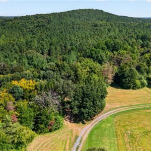 Photo #5 of Jennings, Randleman, NC 74.3 acres