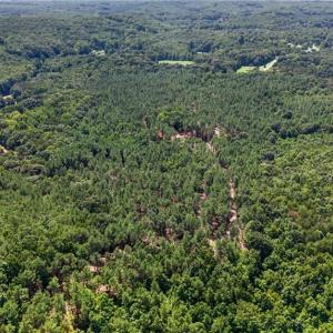 Photo #20 of Jennings, Randleman, NC 74.3 acres
