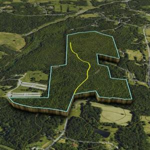 Photo #34 of Jennings, Randleman, NC 74.3 acres