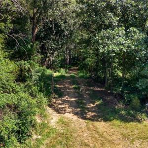 Photo #33 of Jennings, Randleman, NC 74.3 acres