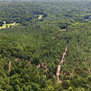 Photo #11 of Jennings, Randleman, NC 74.3 acres