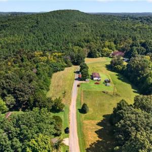 Photo #29 of Jennings, Randleman, NC 74.3 acres