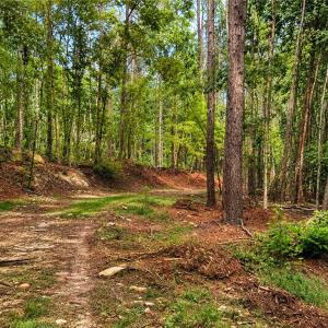 Photo #8 of Jennings, Randleman, NC 74.3 acres
