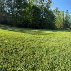panaromic view of lot with your stunning design.
