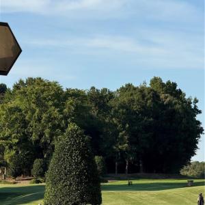 Golf course paradise