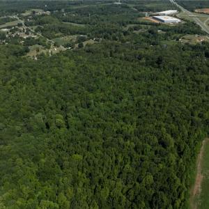 Photo #7 of 5701/5708/5721 US Highway 220, Stokesdale, NC 268.0 acres