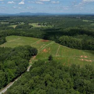 Photo #20 of 5701/5708/5721 US Highway 220, Stokesdale, NC 268.0 acres