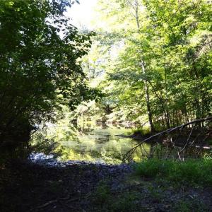 Photo #23 of 338-278 Hancock, Reidsville, NC 60.0 acres