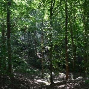 Photo #12 of 338-278 Hancock, Reidsville, NC 60.0 acres