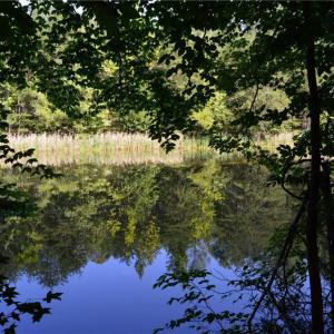 Photo #26 of 338-278 Hancock, Reidsville, NC 60.0 acres