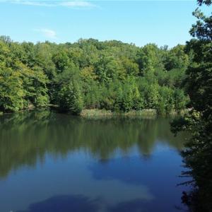 Photo #1 of 338-278 Hancock, Reidsville, NC 60.0 acres