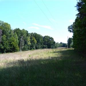 Photo #28 of 338-278 Hancock, Reidsville, NC 60.0 acres