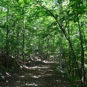 Photo #21 of 338-278 Hancock, Reidsville, NC 60.0 acres