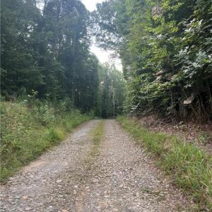 Photo #2 of 1170 Timber Ridge, Westfield, NC 19.0 acres
