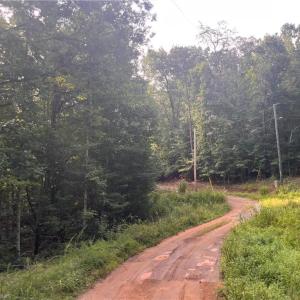 Photo #6 of 1170 Timber Ridge, Westfield, NC 19.0 acres