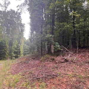 Photo #13 of 1170 Timber Ridge, Westfield, NC 19.0 acres